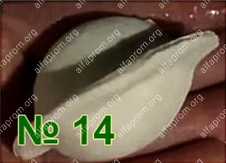 Формующий узел пельменного аппарата Roal Meat QT-150 №14 (полумесяц, 14-16гр) Формующий узел пельменного аппарата Roal Meat QT-150 №14 (полумесяц, 14-16гр)